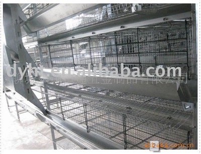 H型蛋雞籠及全自動家禽設備 價格、廠家與產品介紹